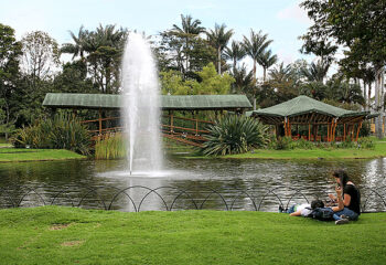 parque-jose-celestino